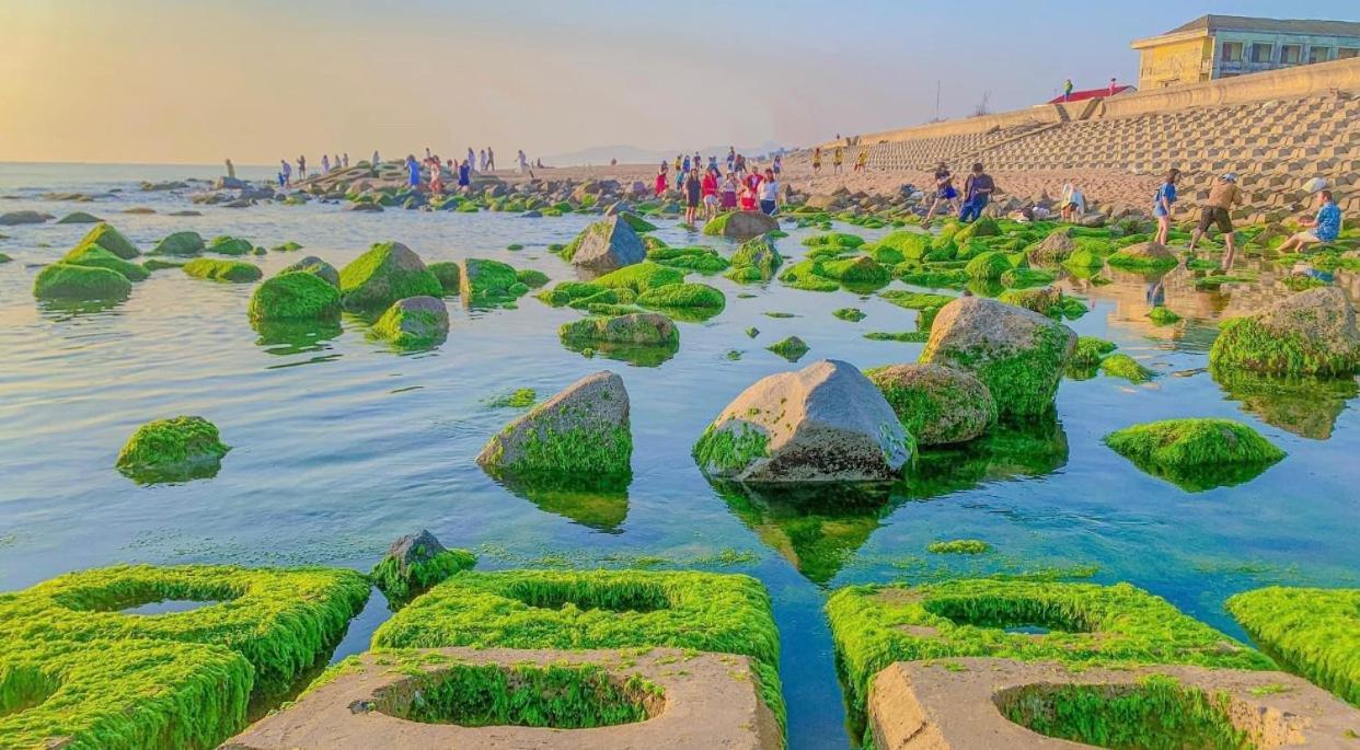 Khach San Nghinh Phong Beach טוי הואה מראה חיצוני תמונה